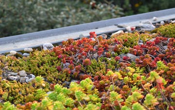 the cost of Pitcot green roof installation