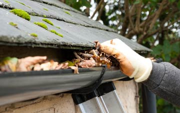 gutter cleaning Pitcot