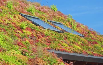 Pitcot living roof systems