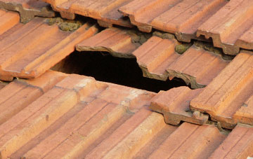 roof repair Pitcot